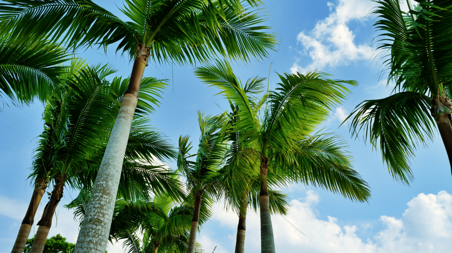 宿泊体験の想像を超えろ。