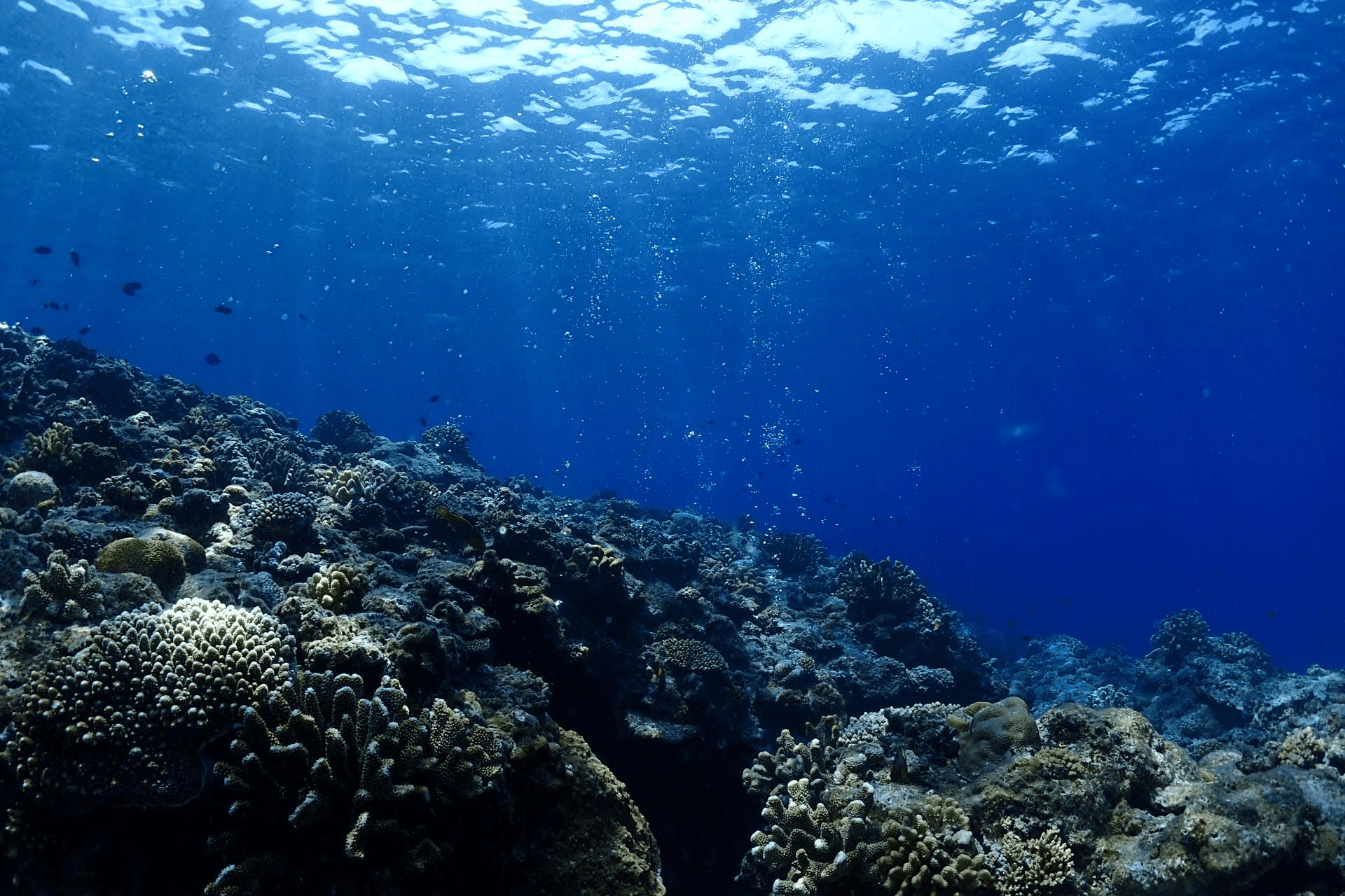 宿泊体験の想像を超えろ。