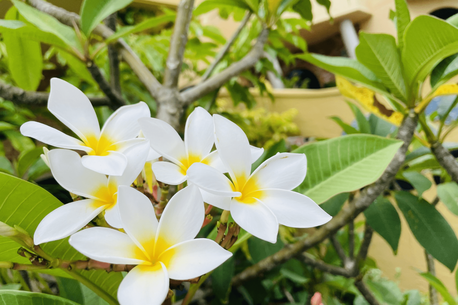 宿泊体験の想像を超えろ。